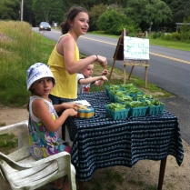 Peas for Sale!